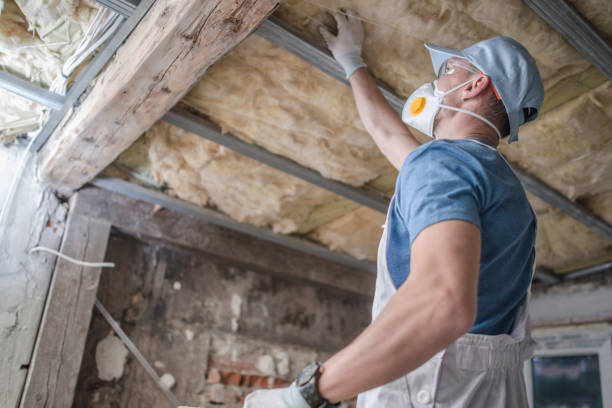 Best Insulation for Specific Applications in North Terre Haute, IN