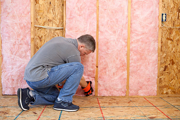 Best Geographic-Specific Insulation Services in North Terre Haute, IN